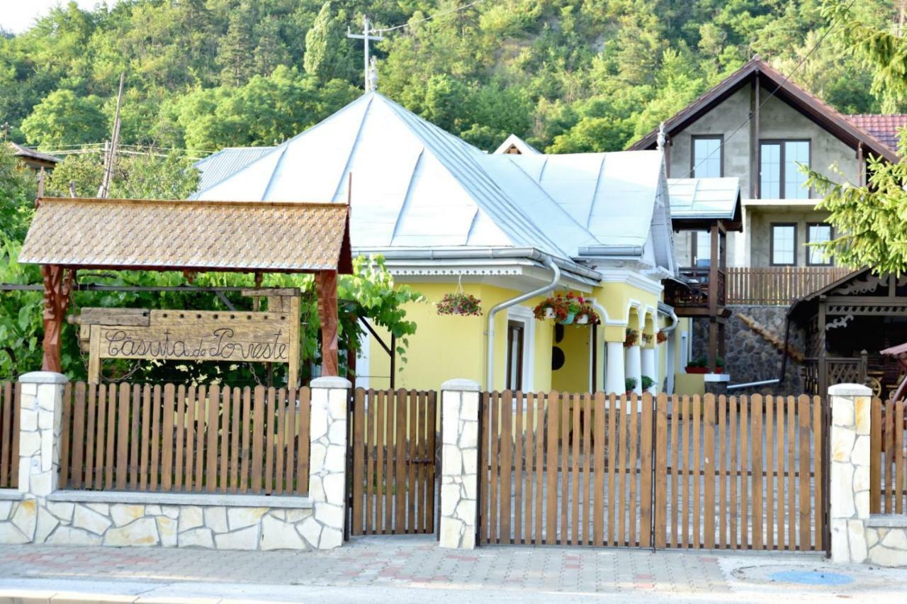 Villa Casuta De Poveste Târgu Neamţ Exterior foto